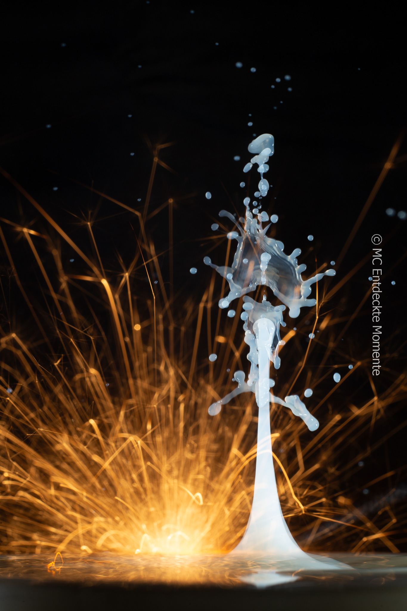 Tropfenfotografie – zwischen Perfektion, Geduld und der Schönheit des Zufalls